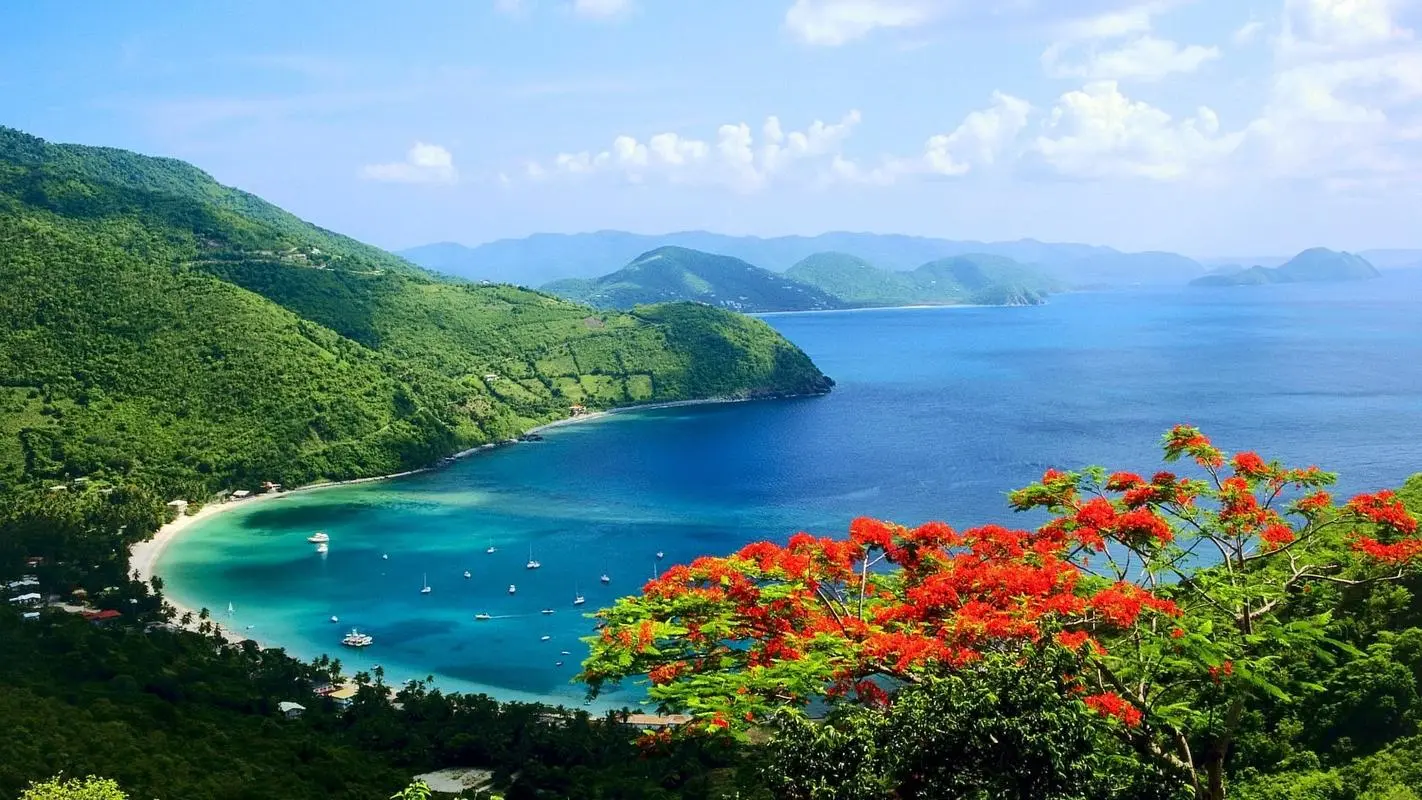 高端电子